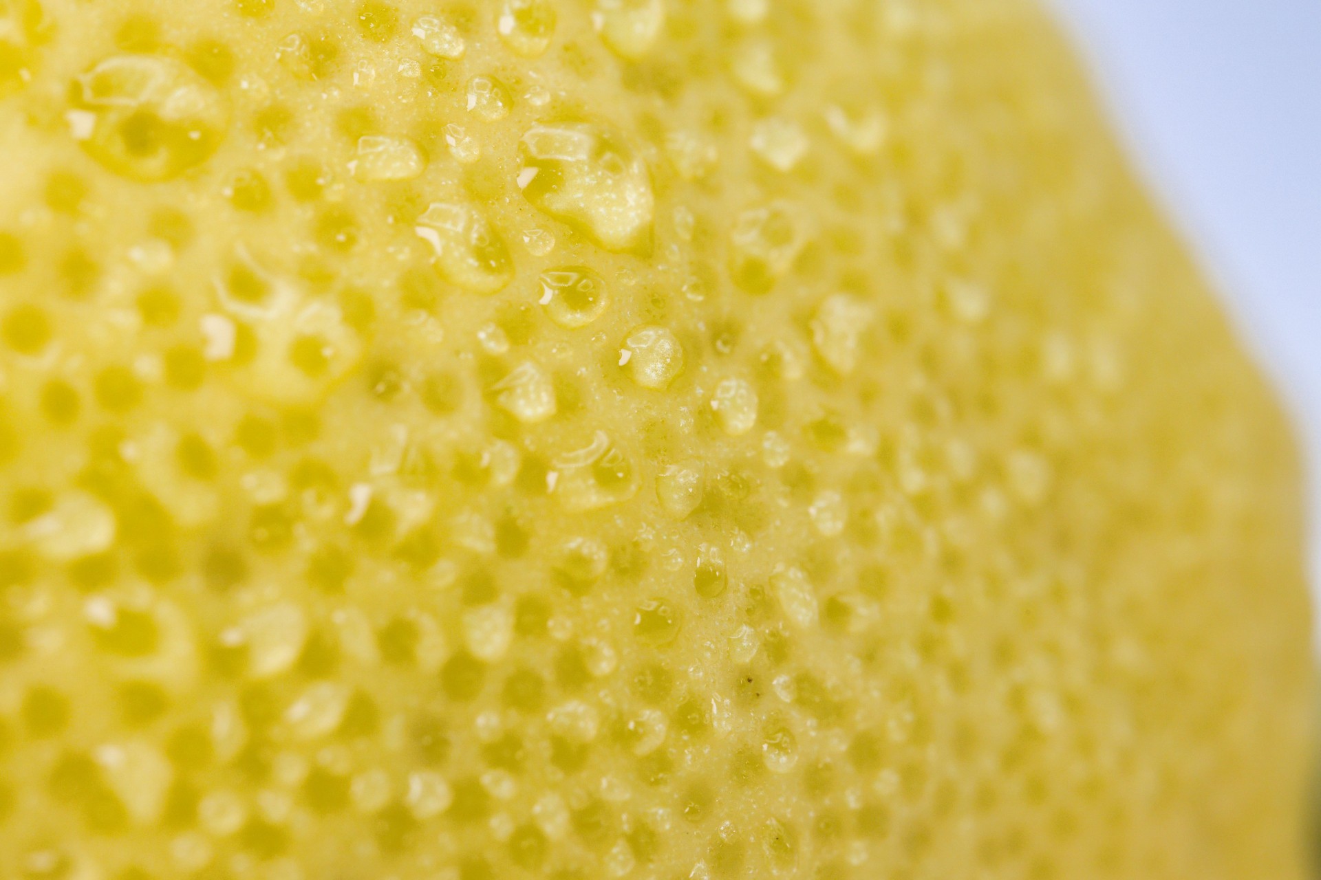 Close-up of a fresh yellow lemon