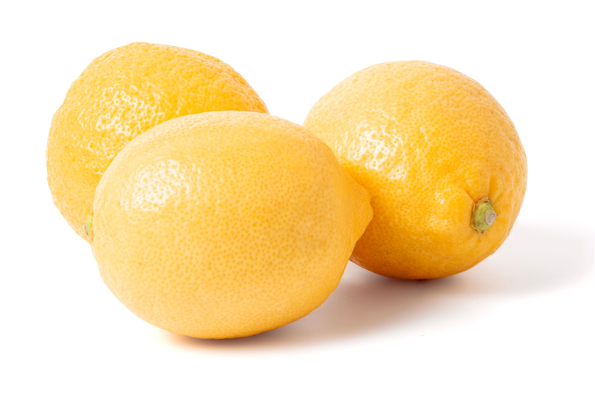 Lemon is a shrub in the genus Citrus.